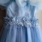 Robe bébé princesse bretelles et manches courtes en tulle