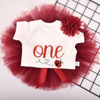 Ensemble anniversaire 1 an coccinelle
