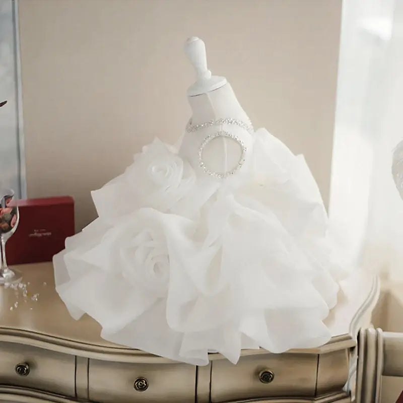 Robe princesse fille aux perles majestueuses