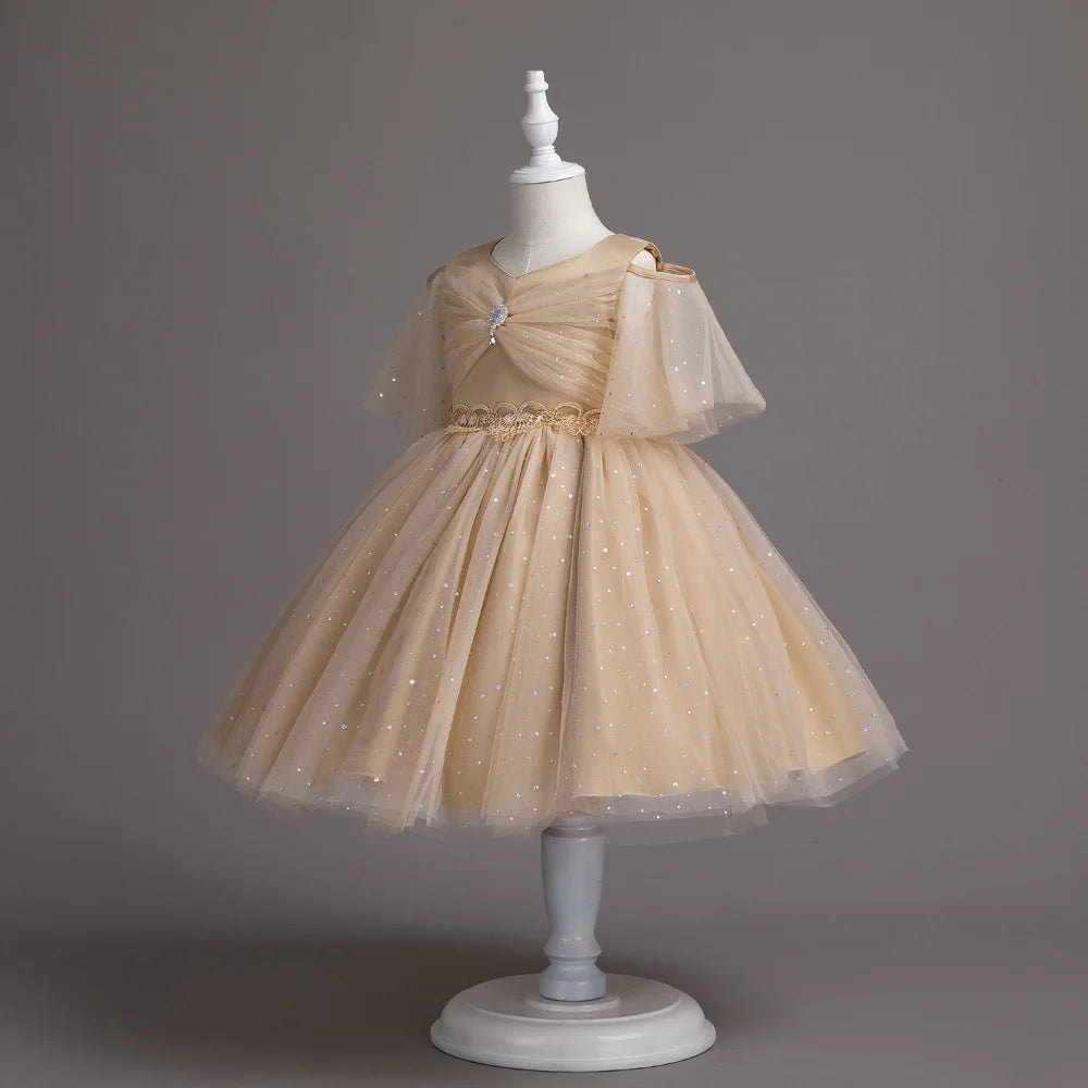 48766568038726|48766568071494|48766568104262|48766568137030|48766568169798|48766568202566