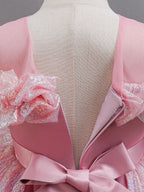 Robe de princesse fille - Brillante Féerie