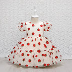 Robe anniversaire bébé fraise