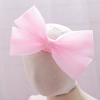 Robe de cérémonie d'anniversaire bébé rosie