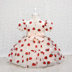 Robe anniversaire bébé fraise
