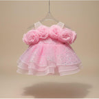 Robe anniversaire fille - Rosase brillante