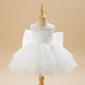 Robe de princesse blanche pour premier anniversaire bébé avec jupon bouffant en tulle.