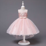 Robe rose princesse fille